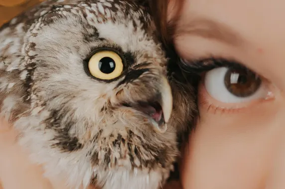 BoaBoa Casino Ënnerstëtzung